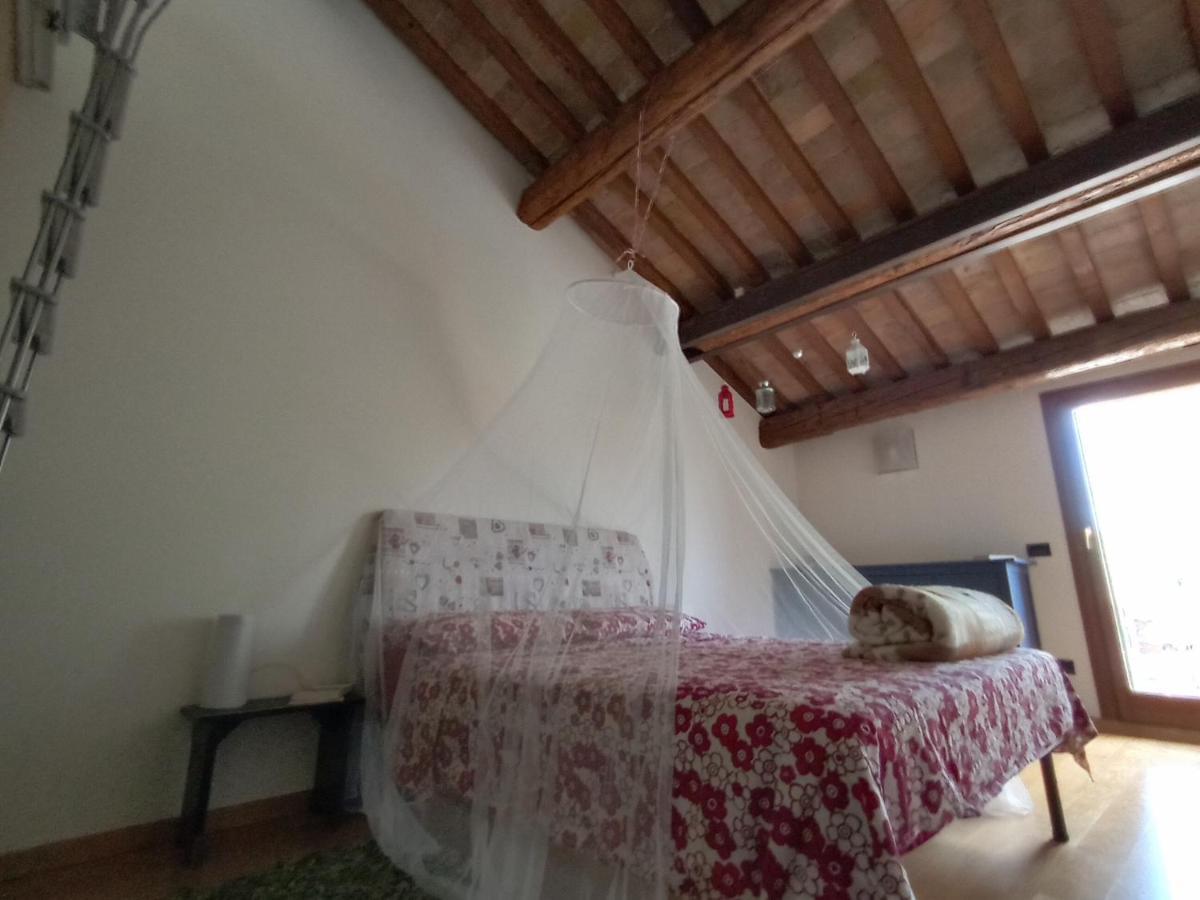 La Casa Di Blue Lejlighed Padova Eksteriør billede